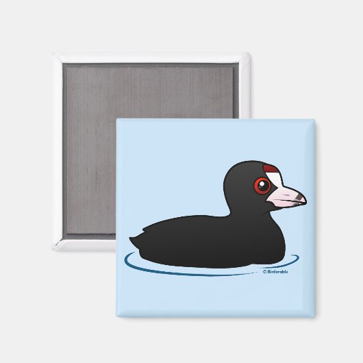 American Coot Magneet (Voorkant / Achterkant)