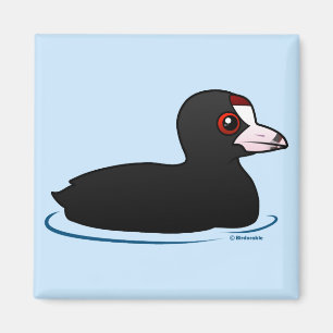 American Coot Magneet