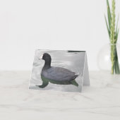 American Coot Photo Folded Note Kaart (Voorkant)