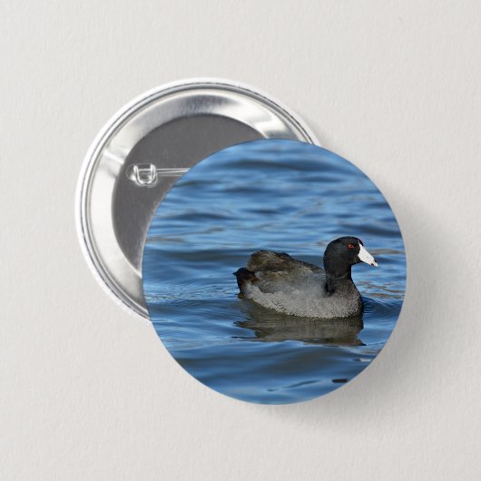 American Coot Ronde Button 5,7 Cm (Voorkant /achterkant)