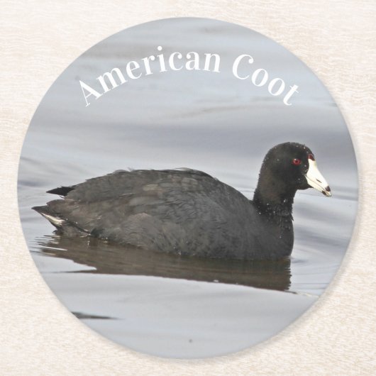 American Coot Ronde Kartonnen Onderzetter (Voorkant)