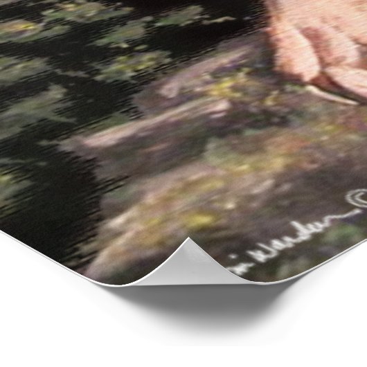 American Cougar poster (Hoek)