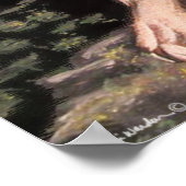 American Cougar poster (Hoek)