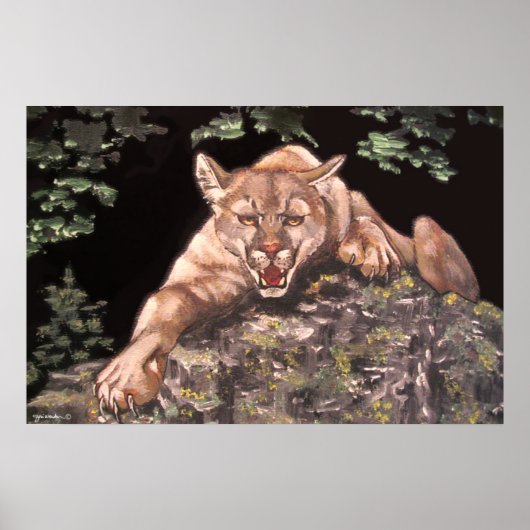 American Cougar poster (Voorkant)