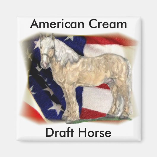 American Cream Paard Magneet (Voorkant)