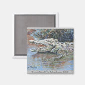 "American Crocodile" Magnet (Voorkant / Achterkant)