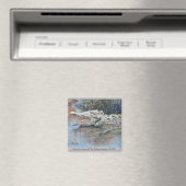 "American Crocodile" Magnet (Insitu (Vaatwasser))