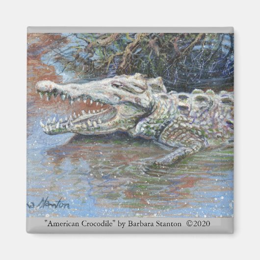 "American Crocodile" Magnet (Voorkant)