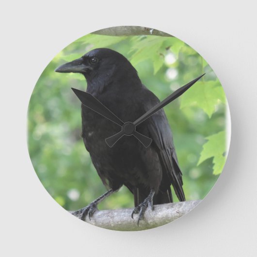 American Crow Clock Ronde Klok (Voorkant)