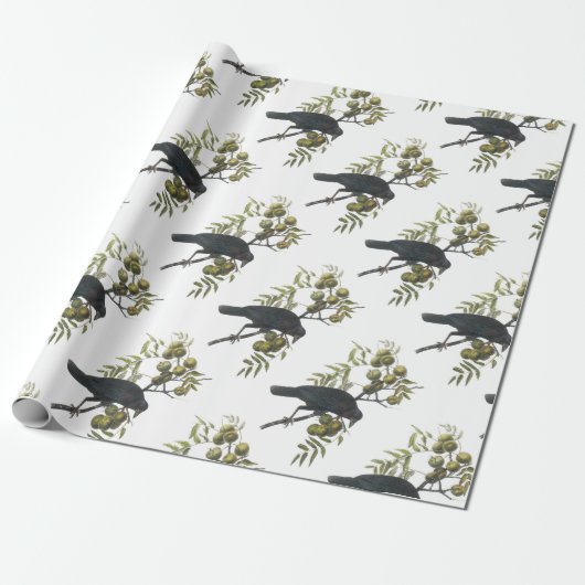 American Crow van Audubon Cadeaupapier (Uitgerold)