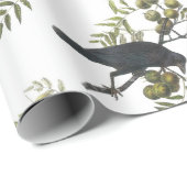 American Crow van Audubon Cadeaupapier (Rol Hoek)