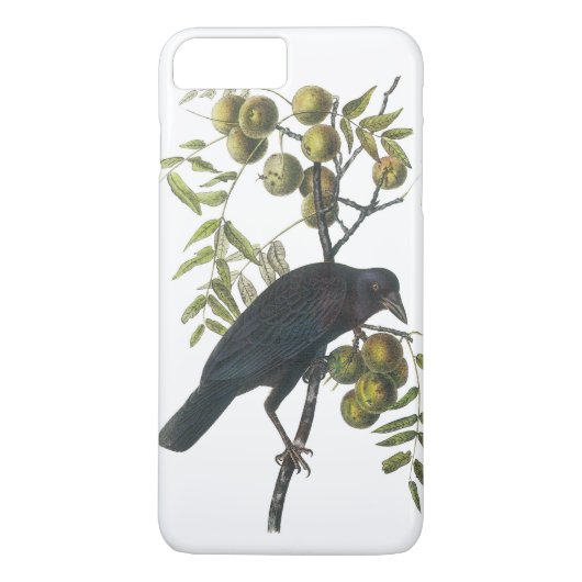 American Crow van Audubon Case-Mate iPhone Case (Achterkant)