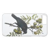 American Crow van Audubon Case-Mate iPhone Case (Achterkant (Horizontaal))