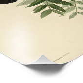 American Crow van John Audubon's Birds of America Foto Afdruk (Hoek)