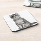 American Curl Kitten (3 maanden oud) Bier Onderzetter (Linkerzijde)