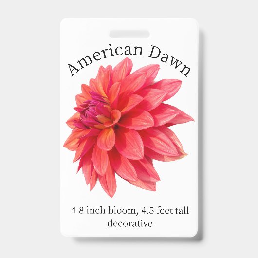 American Dawn Dahlia ID Badge (Voorzijde)