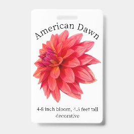 American Dawn Dahlia ID Badge