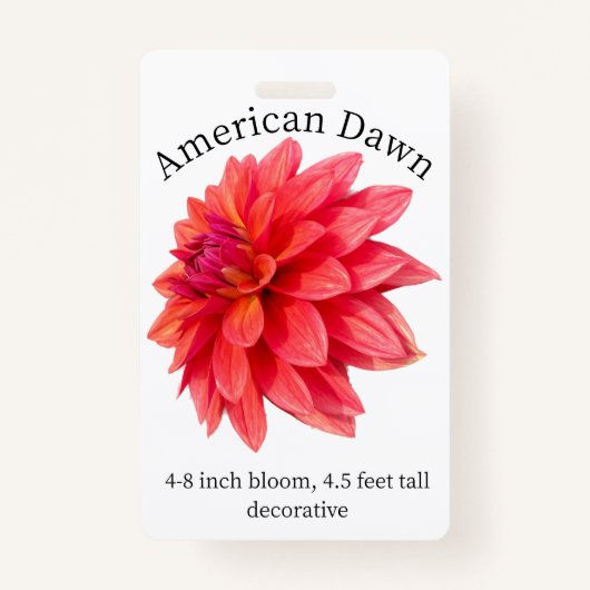 American Dawn Dahlia ID Badge (Voorkant)