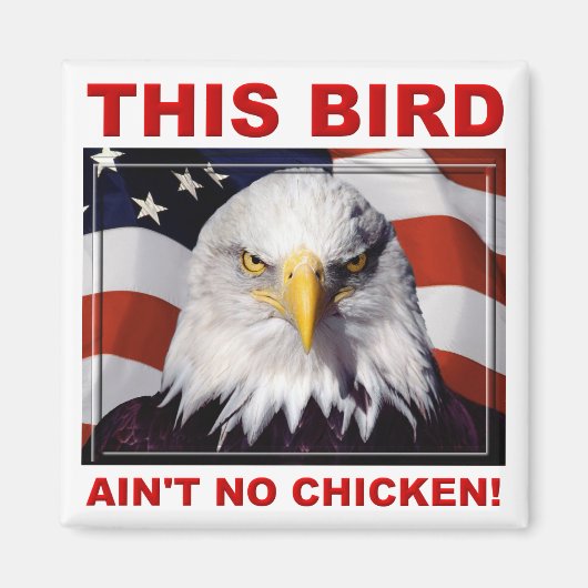 American Eagle Ain No Chicken Fridge Magnet (Voorkant)