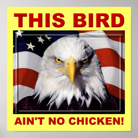 American Eagle Ain't No Chicken Poster Bord (Voorkant)