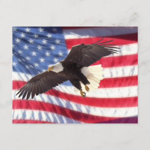 American Eagle & American Flag Invitation Kaart