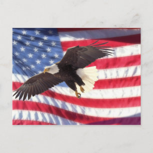 American Eagle and Flag Postcard Briefkaart