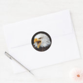 AMERICAN EAGLE by Jean-Louis Glineur Ronde Sticker (Envelop)