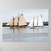 American Eagle en Adirondack III Poster (Voorkant)