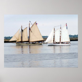 American Eagle en Adirondack III Poster