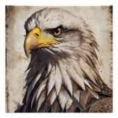 American Eagle no 5 Glanzend Poster (Voorkant)