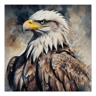 American Eagle no 6 Glanzend Poster