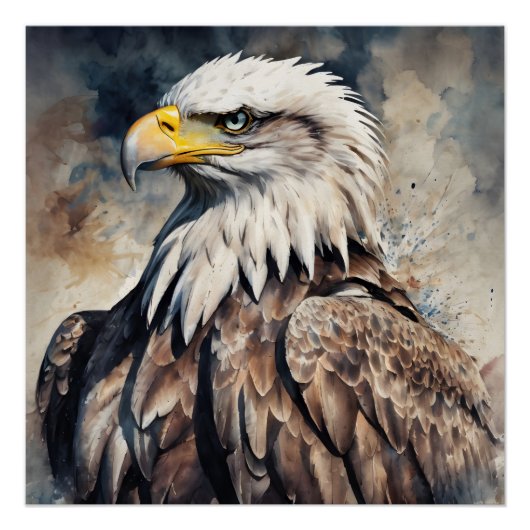 American Eagle no 6 Glanzend Poster (Voorkant)