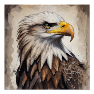 American Eagle no 7 Glanzend Poster