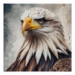 American Eagle no 8 Glanzend Poster