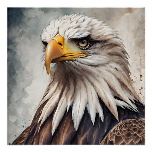 American Eagle no 8 Glanzend Poster (Voorkant)
