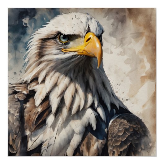 American Eagle no 9 Glanzend Poster (Voorkant)