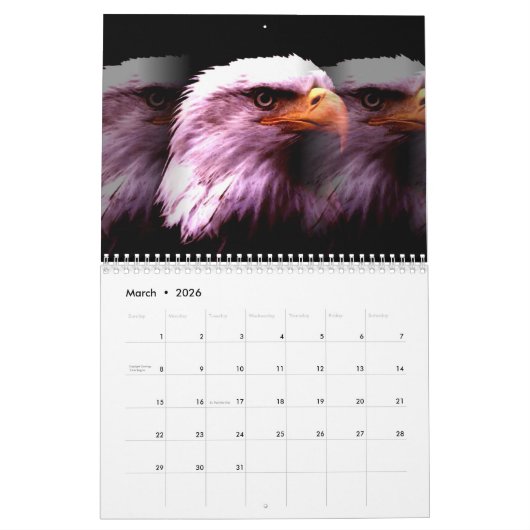 American Eagles - Vogels & Dieren Kunst Kalender (Mar 2026)