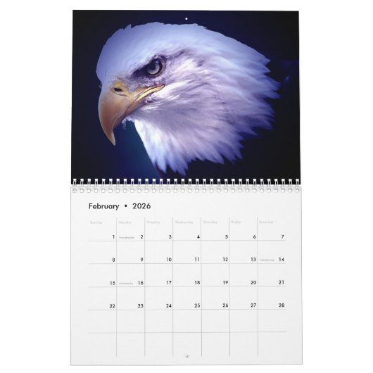 American Eagles - Vogels & Dieren Kunst Kalender (Feb 2026)