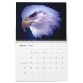 American Eagles - Vogels & Dieren Kunst Kalender (Feb 2027)