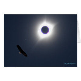 American Eclipse 21 augustus 2017