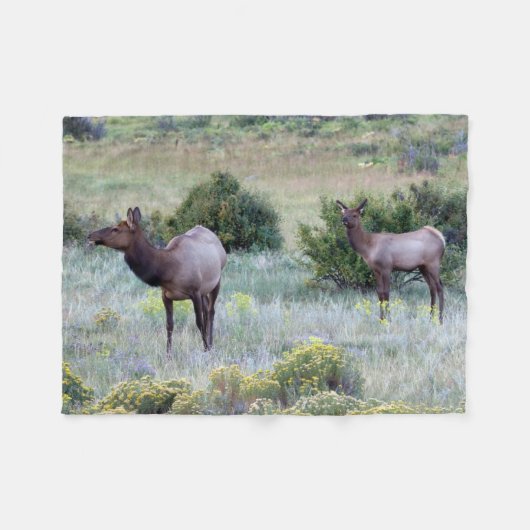 American Elk | Colorado Fleece Deken (Voorkant (Horizontaal))