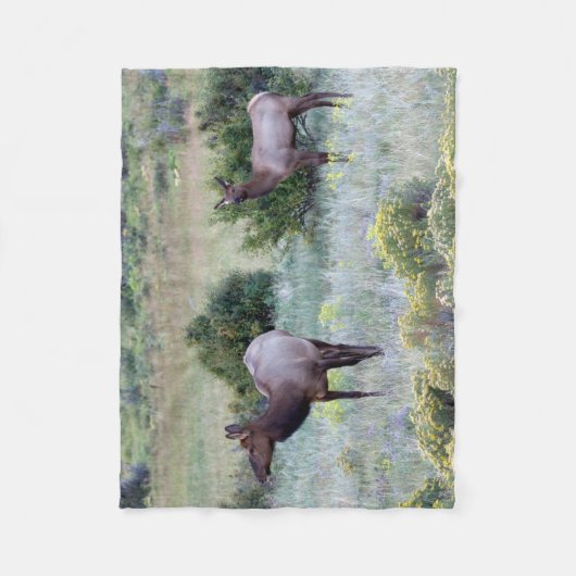 American Elk | Colorado Fleece Deken (Voorkant)