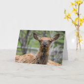 American Elk Notecard Kaart (Gele Bloem)