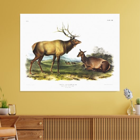 American Elk, of Wapiti Deer door Audubon Canvas Afdruk (Insitu (Woonkamer))