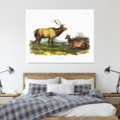 American Elk, of Wapiti Deer door Audubon Canvas Afdruk (Insitu (Slaapkamer))