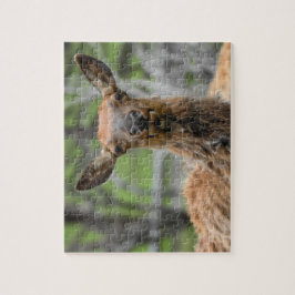 American Elk Puzzle Legpuzzel