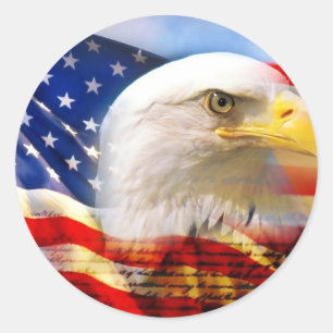 AMERICAN ELLE RONDE STICKER