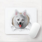 American Eskimo Busting Out Muismat (Met muis)