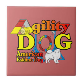 American Eskimo Dog Agility Tegeltje