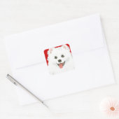 American Eskimo Dog Color Block Vierkante Sticker (Envelop)